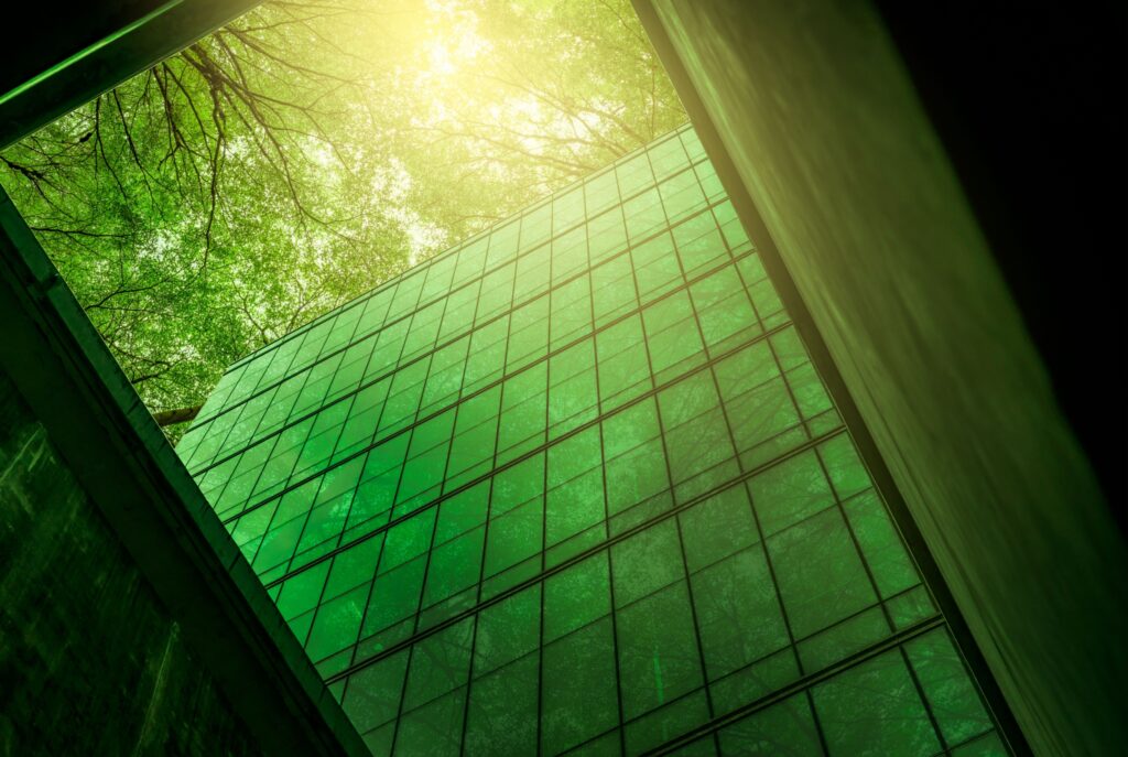 Solar panels reflecting green trees and sunlight